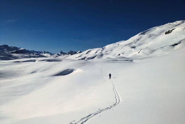 best heli skiing in alaska